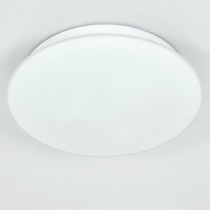 Mat glazen plafondlamp