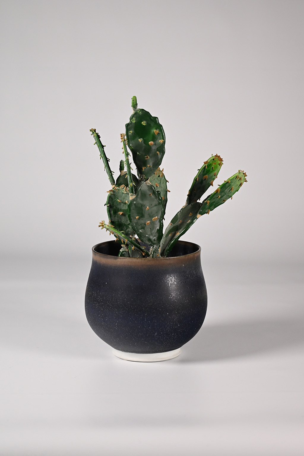 72001 Pot Hein Severijns 05